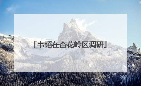 韦韬在杏花岭区调研