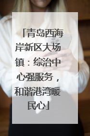 青岛西海岸新区大场镇：综治中心强服务，和谐港湾暖民心