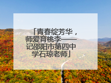青春绽芳华，师爱育桃李——记邵阳市第四中学石琼老师
