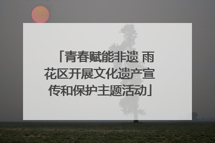 青春赋能非遗 雨花区开展文化遗产宣传和保护主题活动