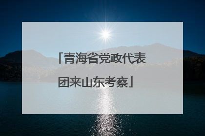 青海省党政代表团来山东考察