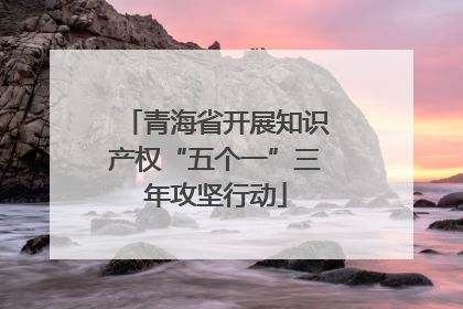 青海省开展知识产权“五个一”三年攻坚行动