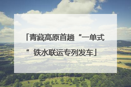 青藏高原首趟“一单式”铁水联运专列发车