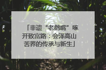 非遗“老鹳嘴”啄开致富路：会泽高山苦荞的传承与新生