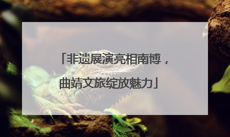 非遗展演亮相南博，曲靖文旅绽放魅力