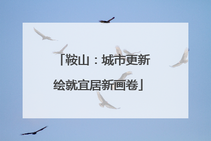 鞍山：城市更新绘就宜居新画卷