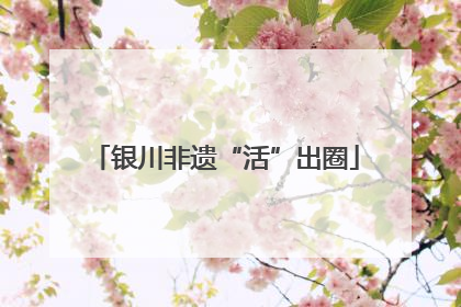 银川非遗“活”出圈