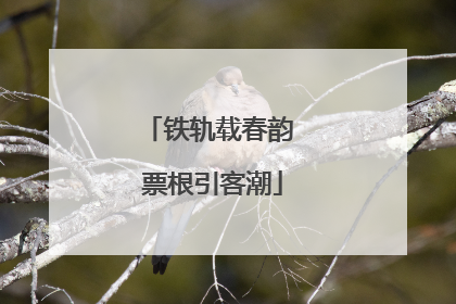 铁轨载春韵 票根引客潮