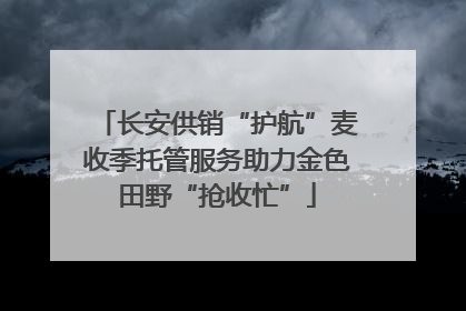 长安供销“护航”麦收季托管服务助力金色田野“抢收忙”