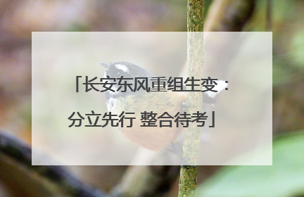 长安东风重组生变：分立先行 整合待考