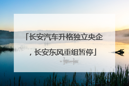 长安汽车升格独立央企，长安东风重组暂停
