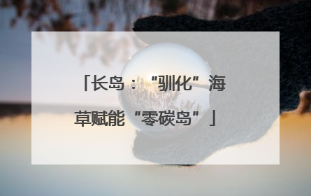 长岛：“驯化”海草赋能“零碳岛”
