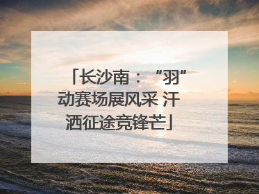 长沙南：“羽”动赛场展风采 汗洒征途竞锋芒