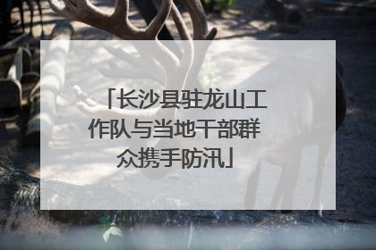 长沙县驻龙山工作队与当地干部群众携手防汛