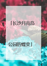 长沙月亮岛公园的蝶变