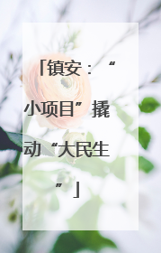 镇安：“小项目”撬动“大民生”