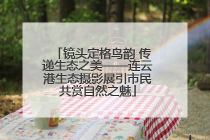 镜头定格鸟韵 传递生态之美——连云港生态摄影展引市民共赏自然之魅