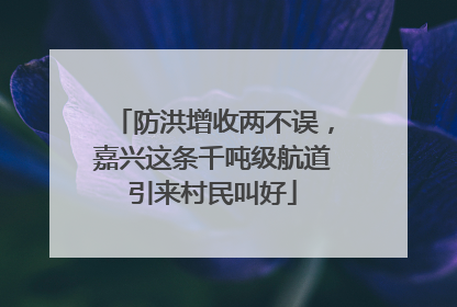 防洪增收两不误，嘉兴这条千吨级航道引来村民叫好