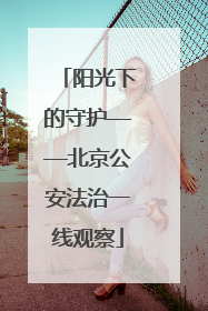 阳光下的守护——北京公安法治一线观察