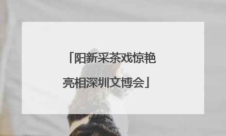 阳新采茶戏惊艳亮相深圳文博会