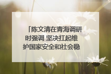 陈文清在青海调研时强调 坚决扛起维护国家安全和社会稳定职责使命 为谱写中国式现代化青海篇章贡献政法力量