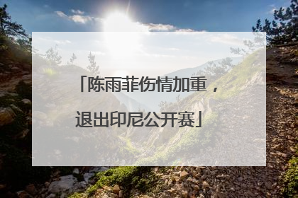 陈雨菲伤情加重，退出印尼公开赛