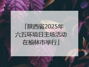 陕西省2025年六五环境日主场活动在榆林市举行