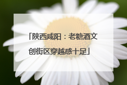 陕西咸阳：老糖酒文创街区穿越感十足