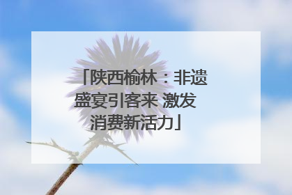 陕西榆林：非遗盛宴引客来 激发消费新活力