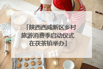 陕西西咸新区乡村旅游消费季启动仪式在茯茶镇举办