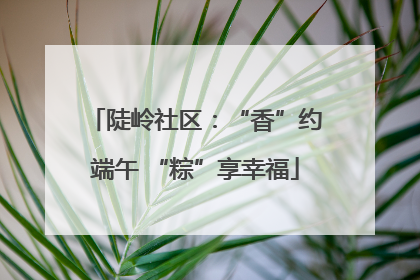 陡岭社区：“香”约端午 “粽”享幸福