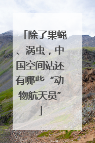 除了果蝇、涡虫，中国空间站还有哪些“动物航天员”