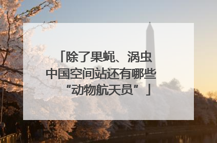 除了果蝇、涡虫 中国空间站还有哪些“动物航天员”
