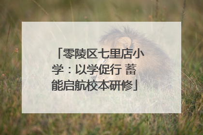 零陵区七里店小学：以学促行 蓄能启航校本研修