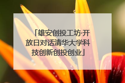 雄安创投工坊·开放日对话清华大学科技创新创投创业