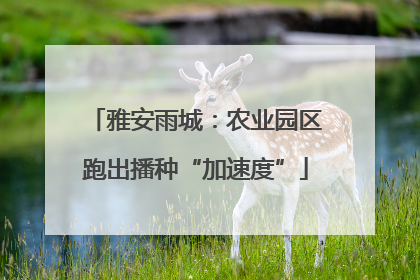 雅安雨城：农业园区跑出播种“加速度”