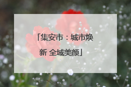 集安市：城市焕新 全域美颜