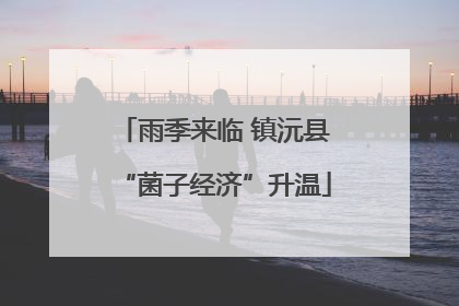 雨季来临 镇沅县“菌子经济”升温