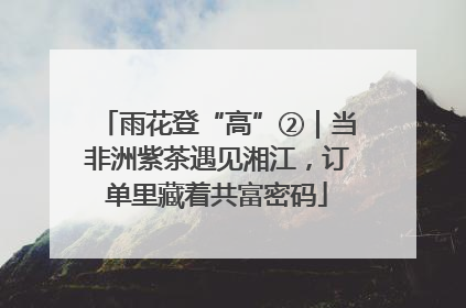 雨花登“高”②｜当非洲紫茶遇见湘江，订单里藏着共富密码