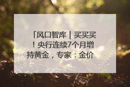 风口智库｜买买买！央行连续7个月增持黄金，专家：金价或仍易涨难跌