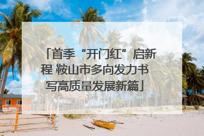 首季“开门红”启新程 鞍山市多向发力书写高质量发展新篇