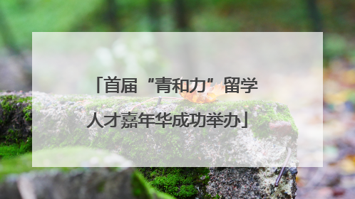 首届“青和力”留学人才嘉年华成功举办