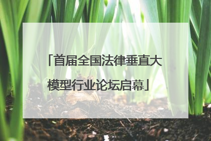 首届全国法律垂直大模型行业论坛启幕
