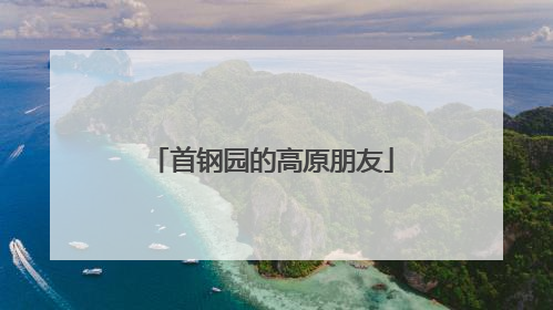 首钢园的高原朋友