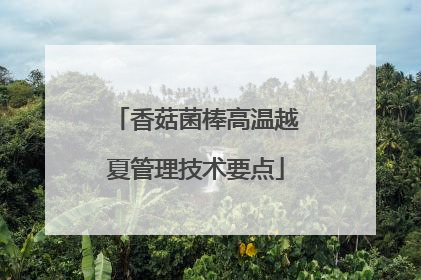 香菇菌棒高温越夏管理技术要点