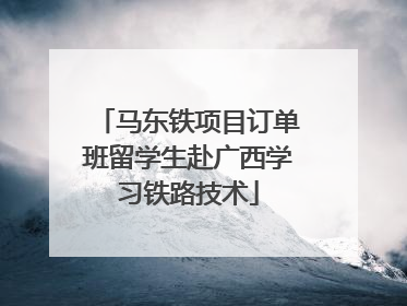 马东铁项目订单班留学生赴广西学习铁路技术