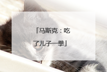 马斯克：吃了儿子一拳