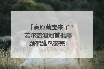 高原萌宝来了！若尔盖湿地首批黑颈鹤雏鸟破壳