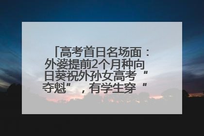 高考首日名场面：外婆提前2个月种向日葵祝外孙女高考“夺魁”，有学生穿“全对”战服赴考