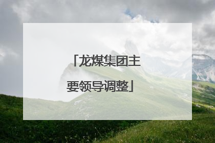 龙煤集团主要领导调整